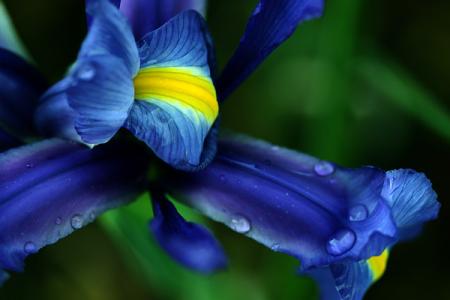 Nous nous pardonnons